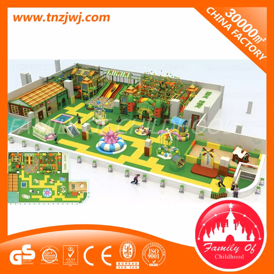 Luxurious Toddlers Indoor Playground Equipment and Naughty Castle (TY-17006)