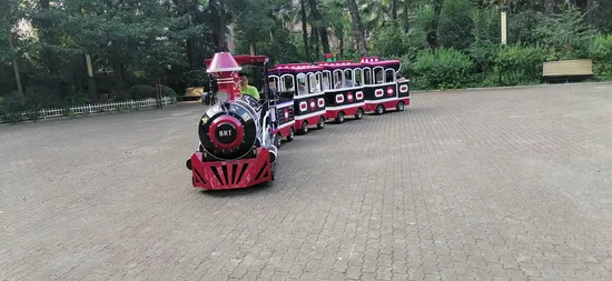 Amusement Park Indoor Playground Equipment Electric Mini Train Kiddy Ride for Sale 